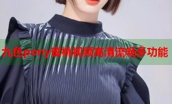 九色pony蜜桃视频高清流畅多功能