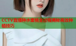 CCTV直播种水蜜桃全过程揭秘高效种植技巧